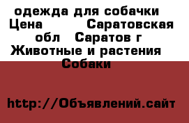 одежда для собачки › Цена ­ 800 - Саратовская обл., Саратов г. Животные и растения » Собаки   